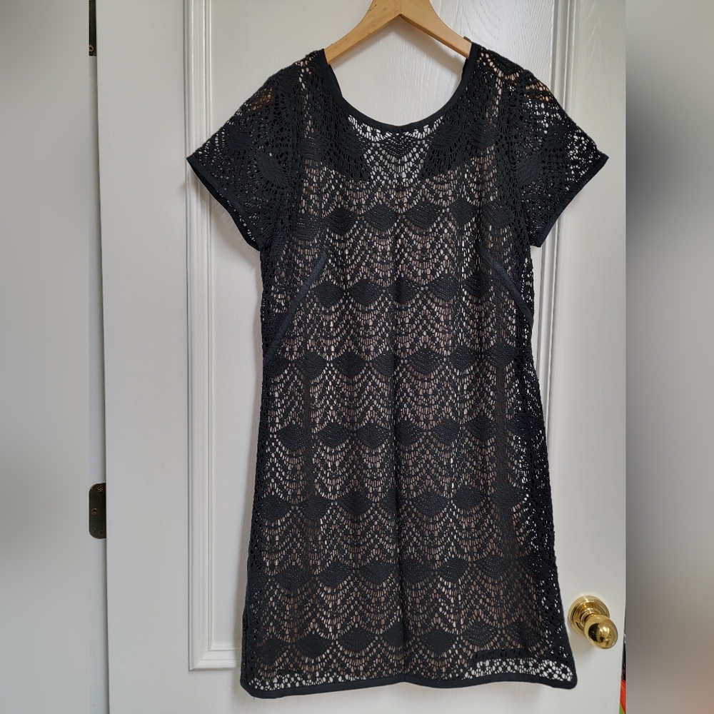 Ann Taylor Loft Dress